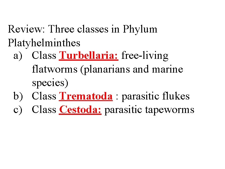 Review: Three classes in Phylum Platyhelminthes a) Class Turbellaria: free-living flatworms (planarians and marine