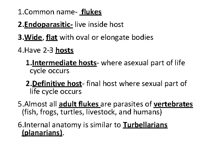 1. Common name- flukes 2. Endoparasitic- live inside host 3. Wide, flat with oval