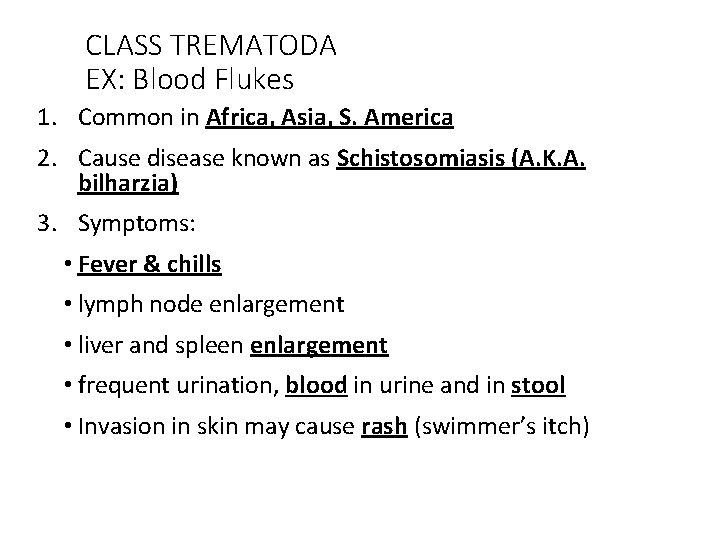 CLASS TREMATODA EX: Blood Flukes 1. Common in Africa, Asia, S. America 2. Cause