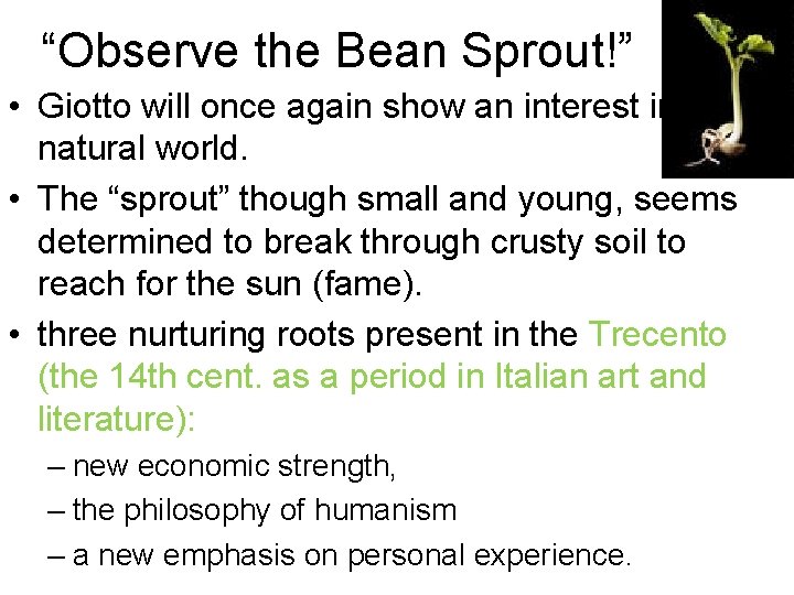 “Observe the Bean Sprout!” • Giotto will once again show an interest in the