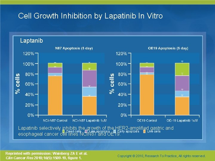 Cell Growth Inhibition by Lapatinib In Vitro Laptanib Lapatinib selectively inhibits the growth of