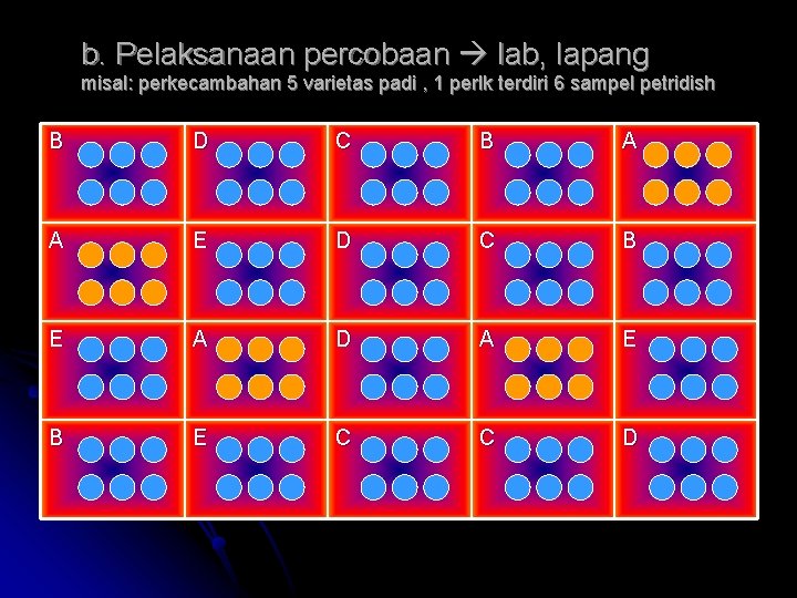 b. Pelaksanaan percobaan lab, lapang misal: perkecambahan 5 varietas padi , 1 perlk terdiri