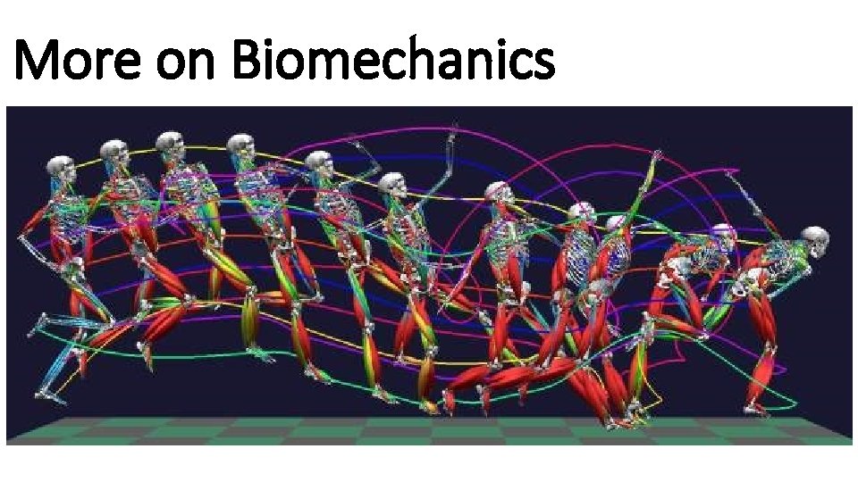 More on Biomechanics 