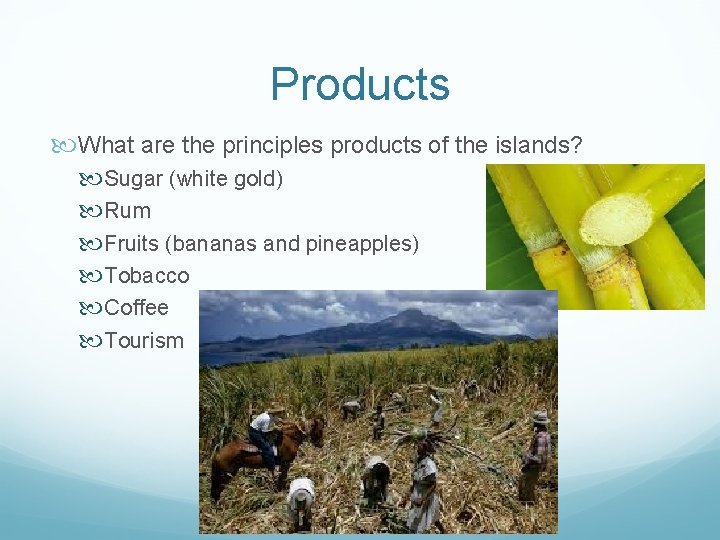 Products What are the principles products of the islands? Sugar (white gold) Rum Fruits