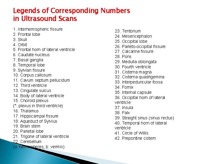 Legends of Corresponding Numbers in Ultrasound Scans 1. Interhemispheric fissure 2. Frontal lobe 3.