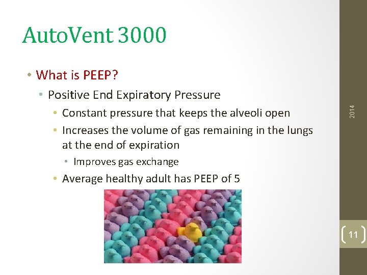 Auto. Vent 3000 • What is PEEP? • Constant pressure that keeps the alveoli