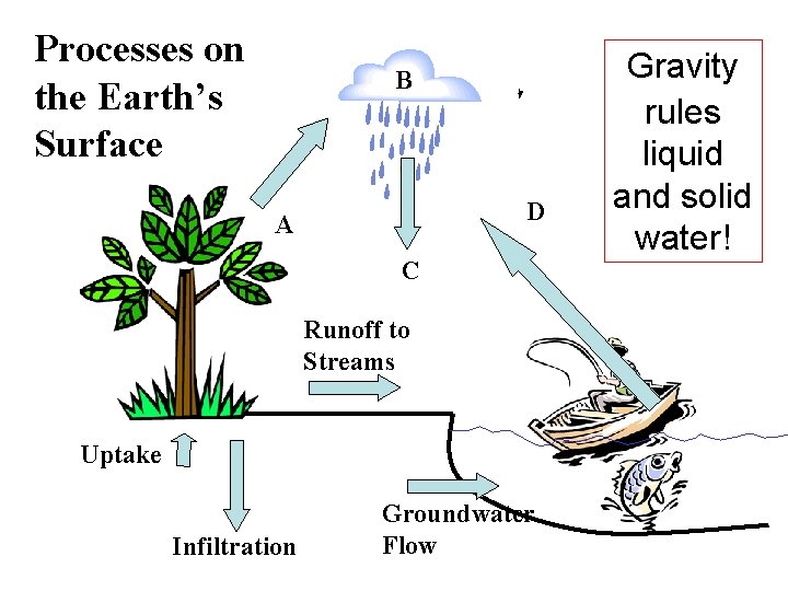 Processes on the Earth’s Surface B D A C Runoff to Streams Uptake Infiltration