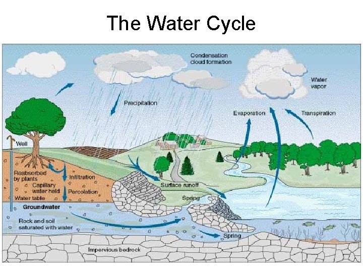 The Water Cycle 