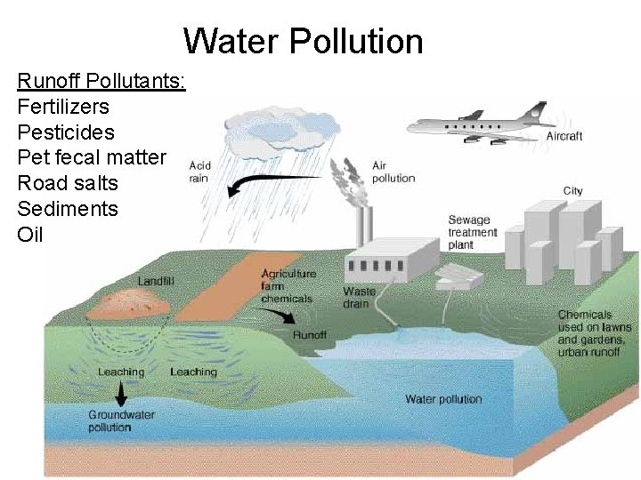 Water Pollution Runoff Pollutants: Fertilizers Pesticides Pet fecal matter Road salts Sediments Oil 