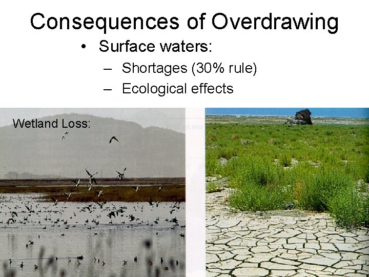 Consequences of Overdrawing • Surface waters: – Shortages (30% rule) – Ecological effects Wetland