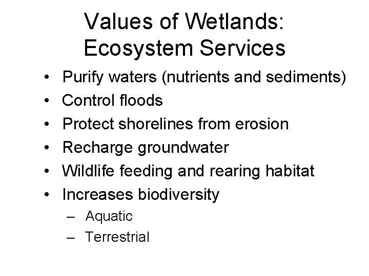 Values of Wetlands: Ecosystem Services • • • Purify waters (nutrients and sediments) Control