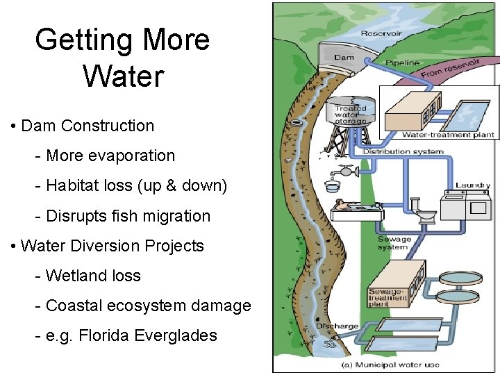 Getting More Water • Dam Construction - More evaporation - Habitat loss (up &