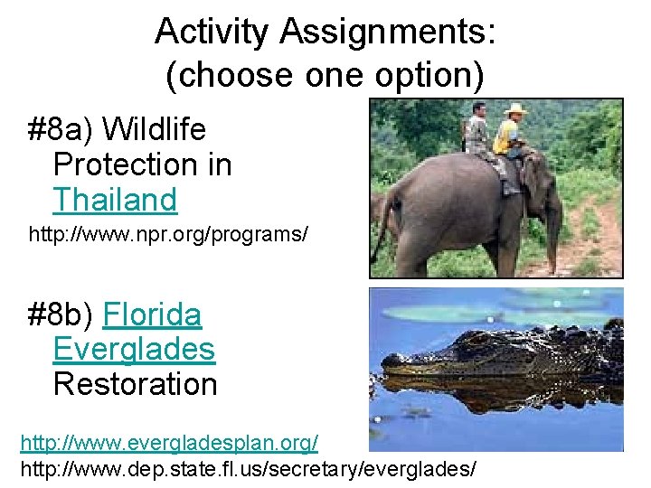 Activity Assignments: (choose one option) #8 a) Wildlife Protection in Thailand http: //www. npr.