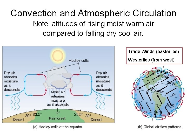 Convection and Atmospheric Circulation Note latitudes of rising moist warm air compared to falling