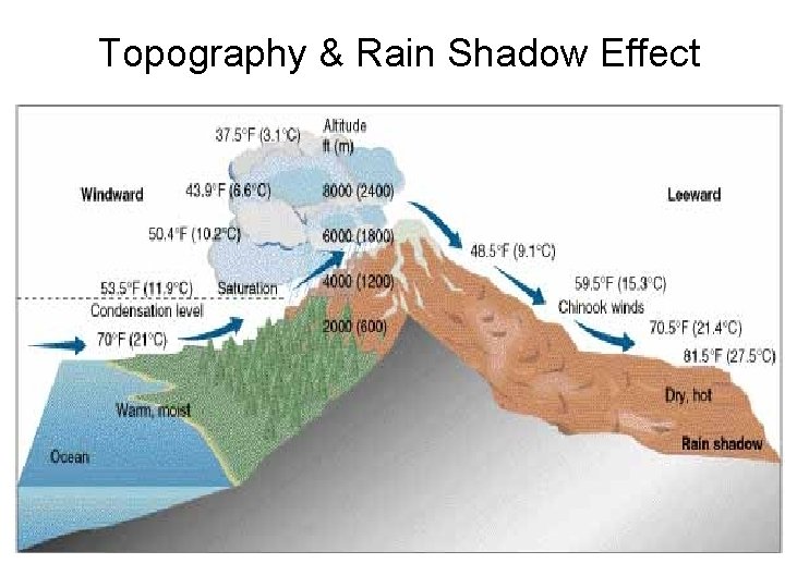 Topography & Rain Shadow Effect 