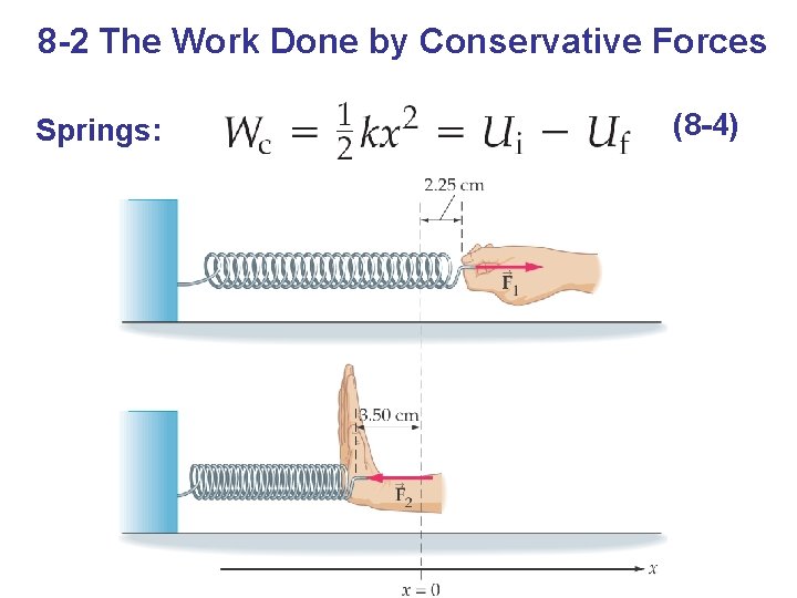 8 -2 The Work Done by Conservative Forces Springs: (8 -4) 