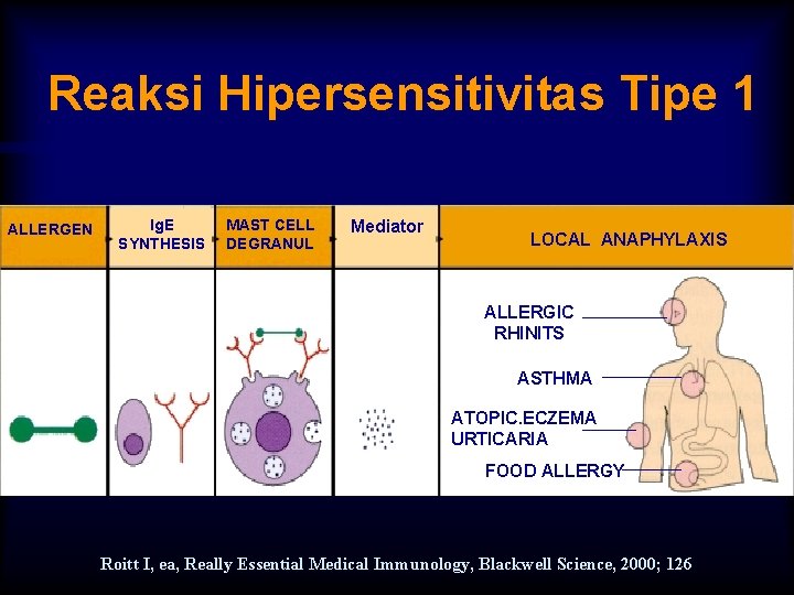 Reaksi Hipersensitivitas Tipe 1 ALLERGEN Ig. E SYNTHESIS MAST CELL DEGRANUL Mediator LOCAL ANAPHYLAXIS