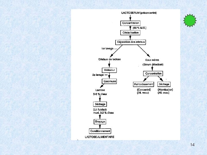 II- Le Lactose 2 - Extraction 14 