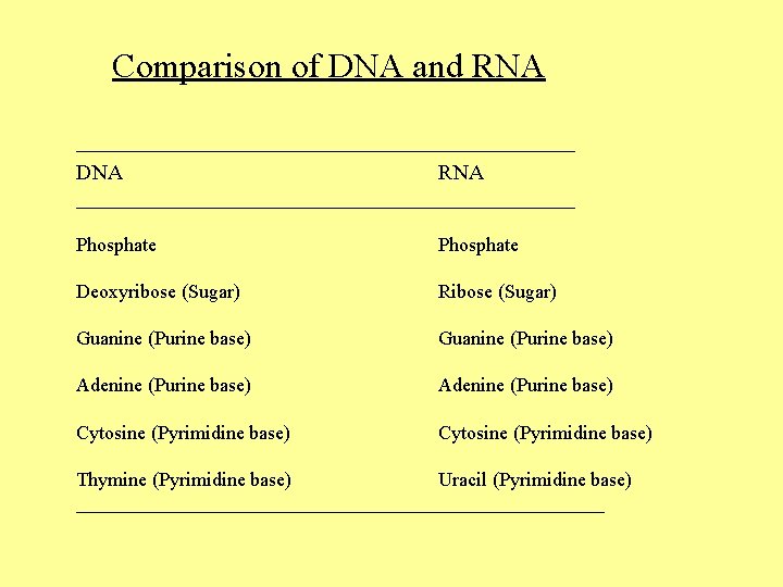 Comparison of DNA and RNA __________________________ DNA RNA __________________________ Phosphate Deoxyribose (Sugar) Ribose (Sugar)