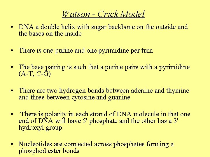 Watson - Crick Model • DNA a double helix with sugar backbone on the