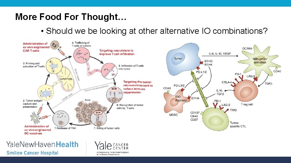 More Food For Thought… • Should we be looking at other alternative IO combinations?