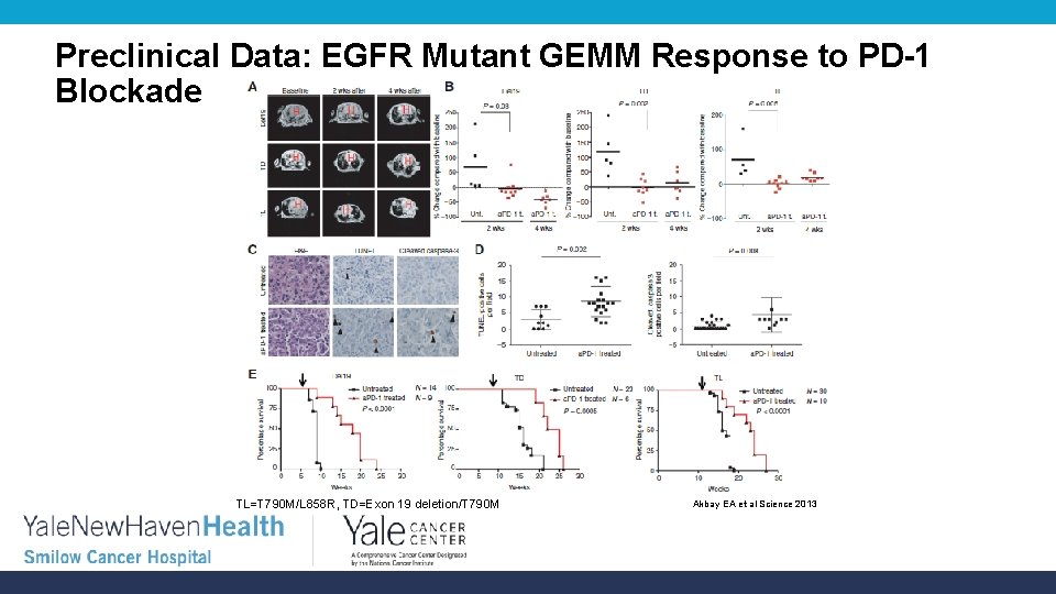 Preclinical Data: EGFR Mutant GEMM Response to PD-1 Blockade TL=T 790 M/L 858 R,