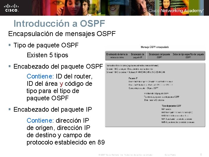 Introducción a OSPF Encapsulación de mensajes OSPF § Tipo de paquete OSPF Existen 5