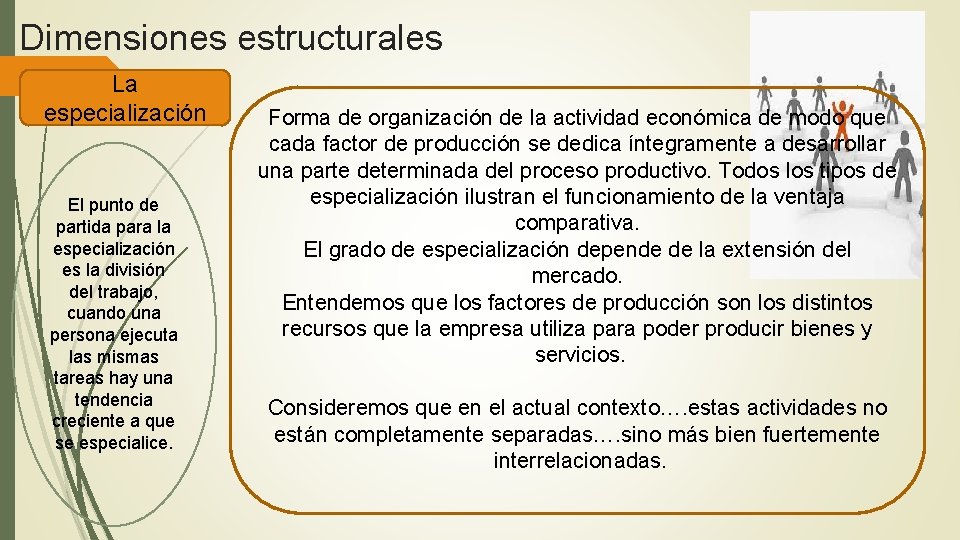 Dimensiones estructurales La especialización El punto de partida para la especialización es la división Dimensiones estructurales La especialización El punto de partida para la especialización es la división