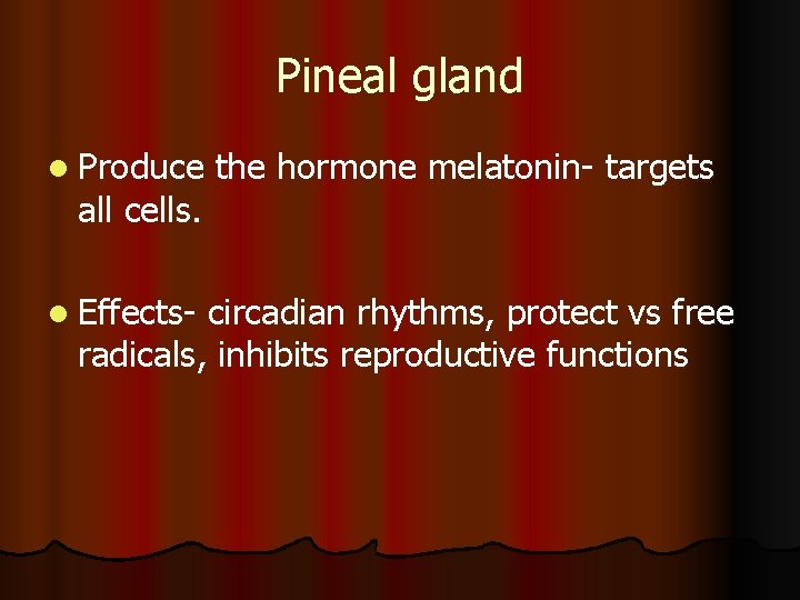 Pineal gland l Produce all cells. l Effects- the hormone melatonin- targets circadian rhythms,