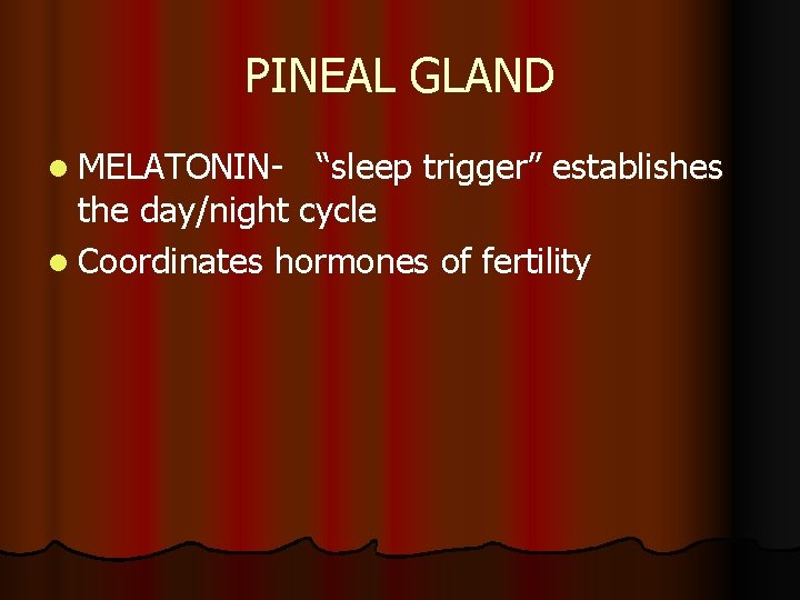 PINEAL GLAND l MELATONIN- “sleep trigger” establishes the day/night cycle l Coordinates hormones of