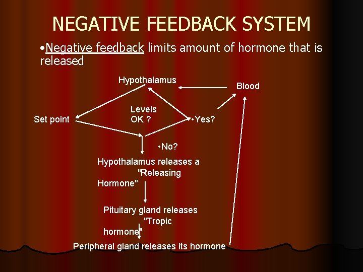 NEGATIVE FEEDBACK SYSTEM • Negative feedback limits amount of hormone that is released Hypothalamus
