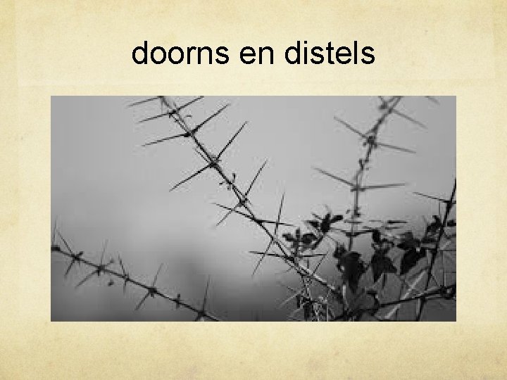 doorns en distels 