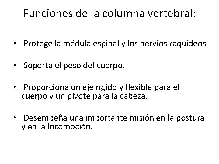 Funciones de la columna vertebral: • Protege la médula espinal y los nervios raquídeos.