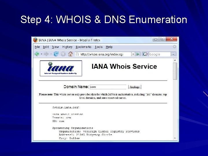 Step 4: WHOIS & DNS Enumeration 