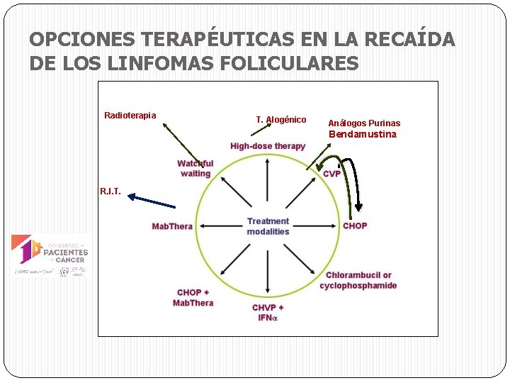 OPCIONES TERAPÉUTICAS EN LA RECAÍDA DE LOS LINFOMAS FOLICULARES Radioterapia T. Alogénico Análogos Purinas