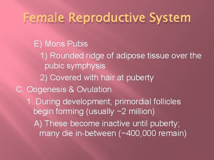 Female Reproductive System E) Mons Pubis 1) Rounded ridge of adipose tissue over the