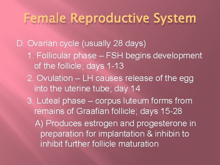 Female Reproductive System D. Ovarian cycle (usually 28 days) 1. Follicular phase – FSH
