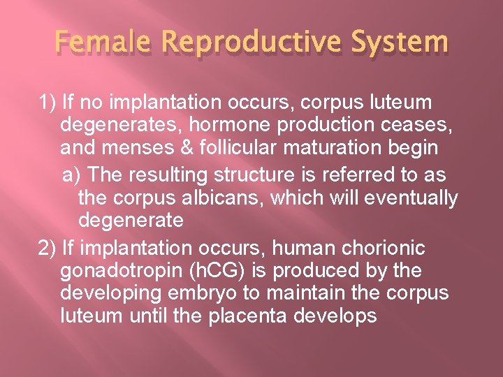 Female Reproductive System 1) If no implantation occurs, corpus luteum degenerates, hormone production ceases,