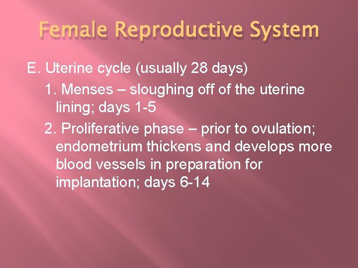 Female Reproductive System E. Uterine cycle (usually 28 days) 1. Menses – sloughing off