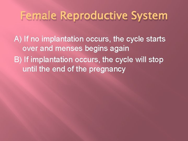 Female Reproductive System A) If no implantation occurs, the cycle starts over and menses