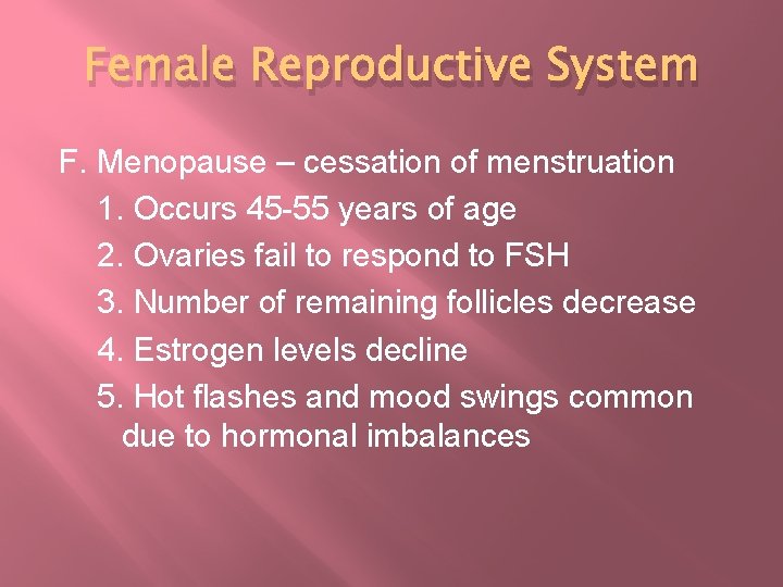 Female Reproductive System F. Menopause – cessation of menstruation 1. Occurs 45 -55 years