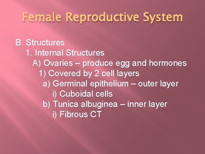 Female Reproductive System B. Structures 1. Internal Structures A) Ovaries – produce egg and