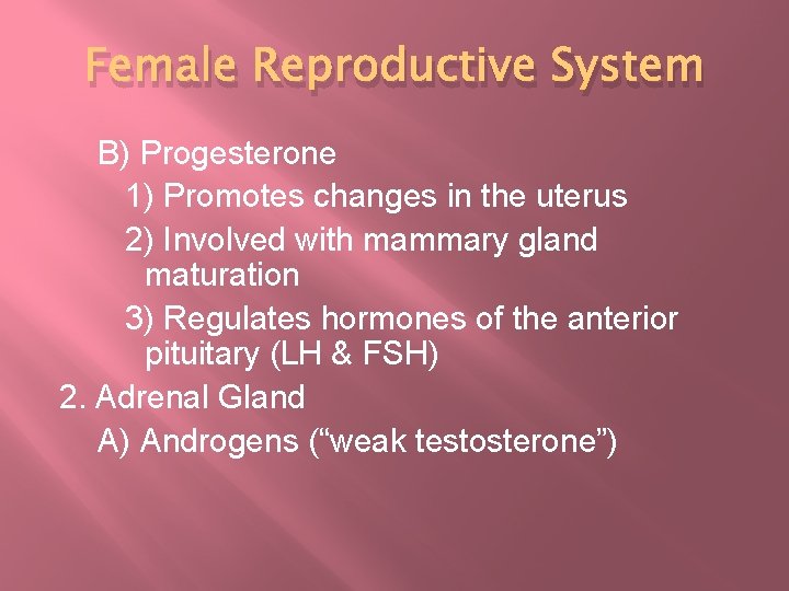 Female Reproductive System B) Progesterone 1) Promotes changes in the uterus 2) Involved with