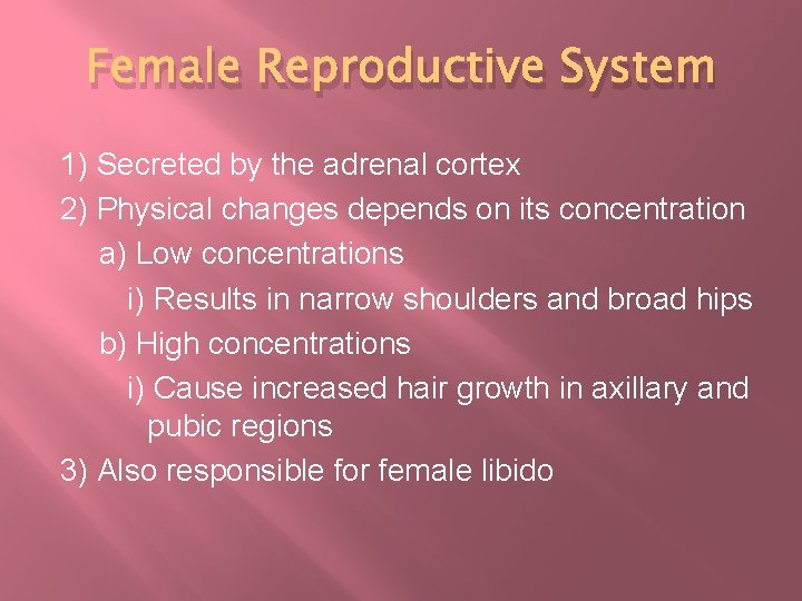 Female Reproductive System 1) Secreted by the adrenal cortex 2) Physical changes depends on