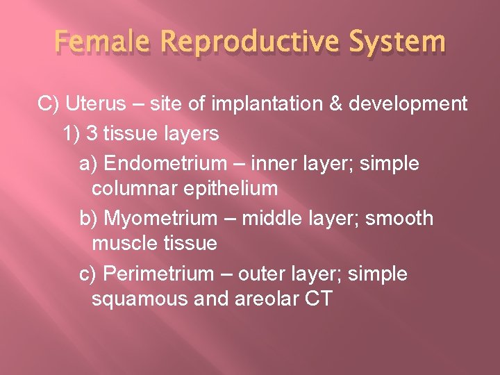 Female Reproductive System C) Uterus – site of implantation & development 1) 3 tissue