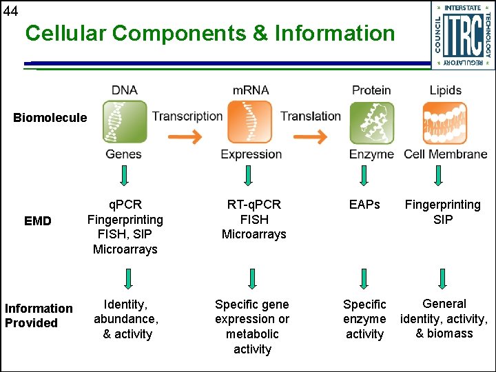 44 Cellular Components & Information Biomolecule RT-q. PCR FISH Microarrays EAPs EMD q. PCR