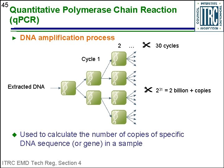 45 Quantitative Polymerase Chain Reaction (q. PCR) ► DNA amplification process 2 … 30