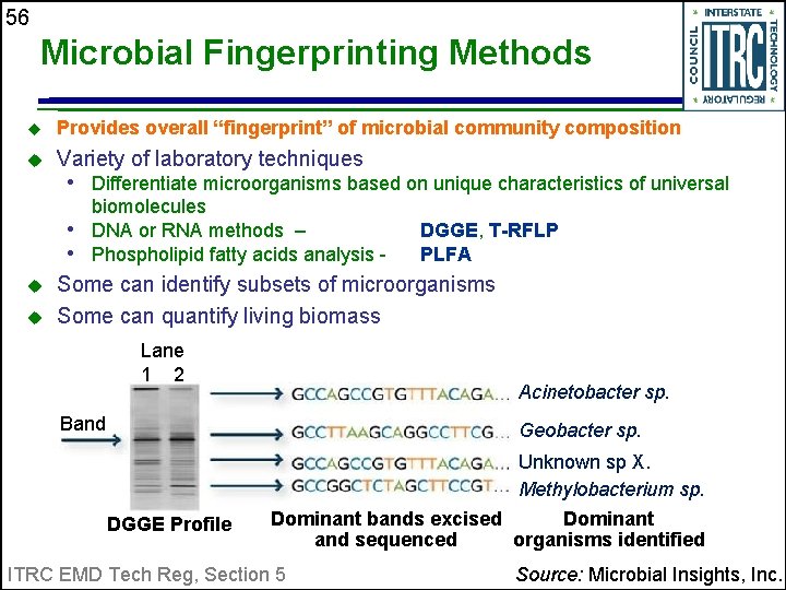 56 Microbial Fingerprinting Methods u Provides overall “fingerprint” of microbial community composition u Variety