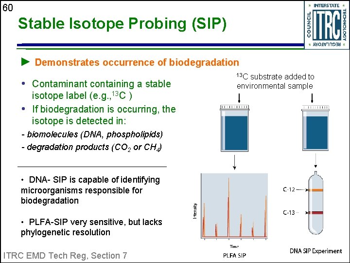 60 Stable Isotope Probing (SIP) ► Demonstrates occurrence of biodegradation • Contaminant containing a