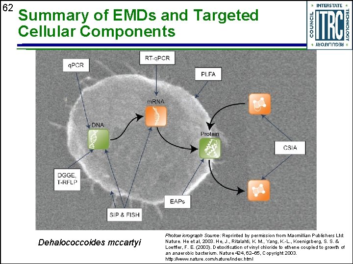 62 Summary of EMDs and Targeted Cellular Components Dehalococcoides mccartyi Photomicrograph Source: Reprinted by